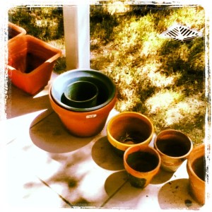 plants - pots