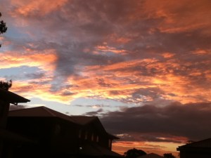 sunset