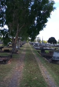 cemetery path