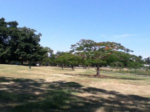 new farm park 2