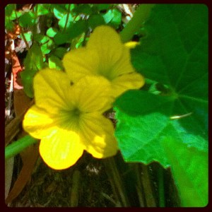 photo (13)