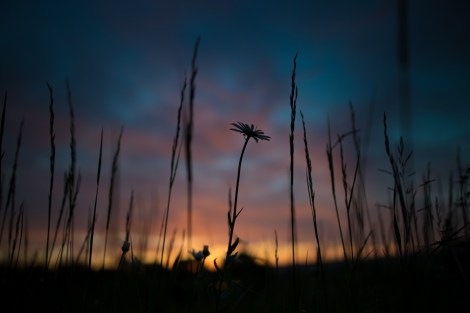 sunrise-1983740_1920