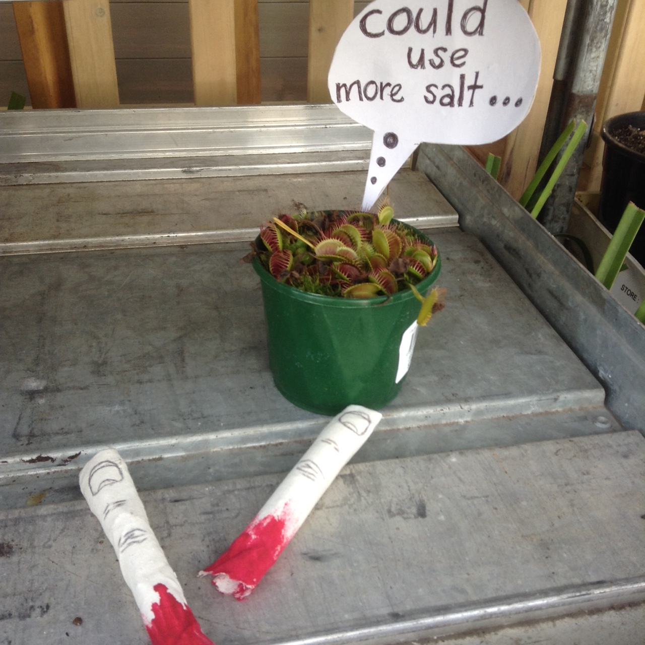 GISH Hungry Plant