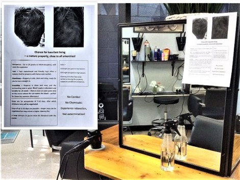 Gish 2019 Hair BnB Flyer clearer